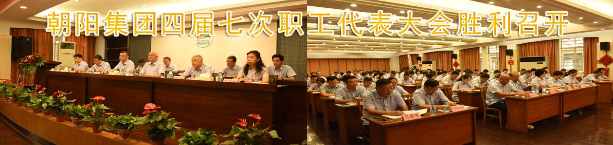朝陽(yáng)集團(tuán)四屆七次職代會(huì)勝利召開