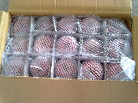 陜西紅富士蘋果價(jià)格/2014紅富士蘋果價(jià)