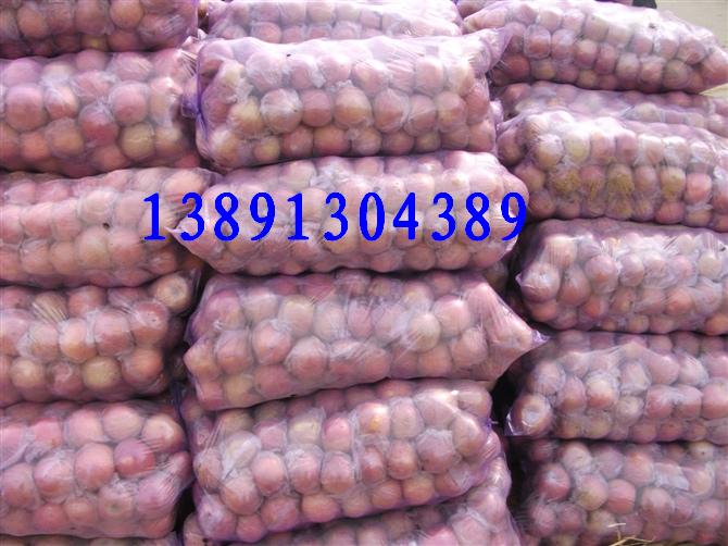 供應(yīng)陜西紅富士蘋果急銷陜西冷庫(kù)紅富士蘋果